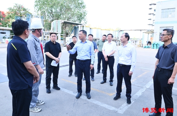 马晓磊调研生态环保工作并督导问题整改情况